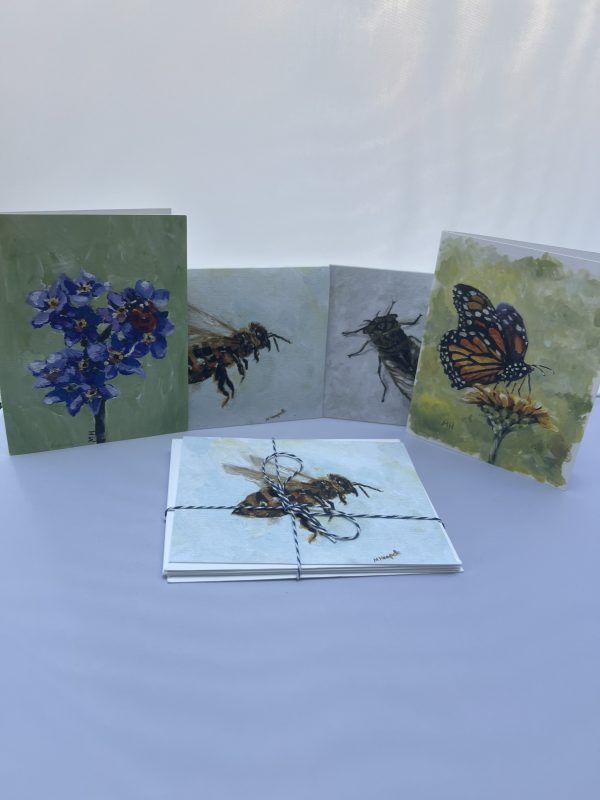 Backyard Bug Card Variety Pack - Image 2