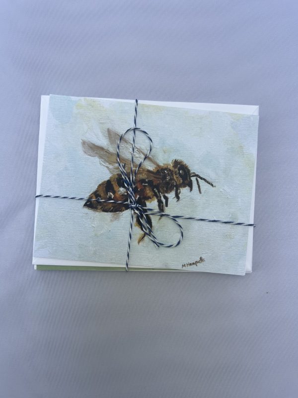 Backyard Bug Card Variety Pack - Image 5